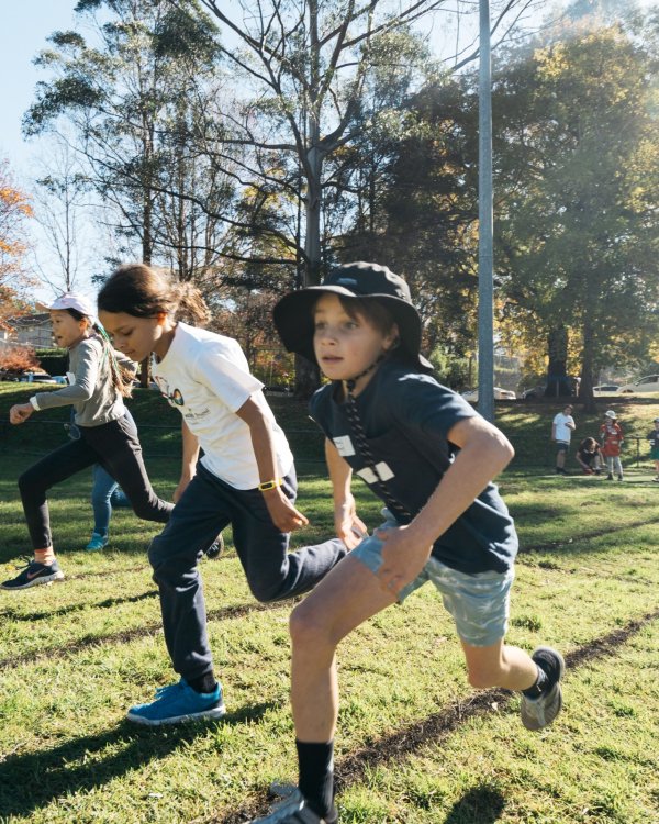 montessori sports carnival 2022