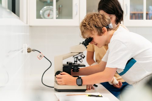 Preparing children for lifelong success: The real-world benefits of Montessori education Image