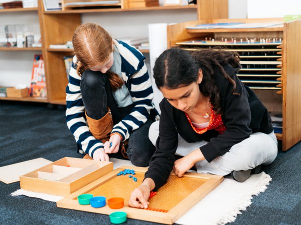 The Montessori Advantage