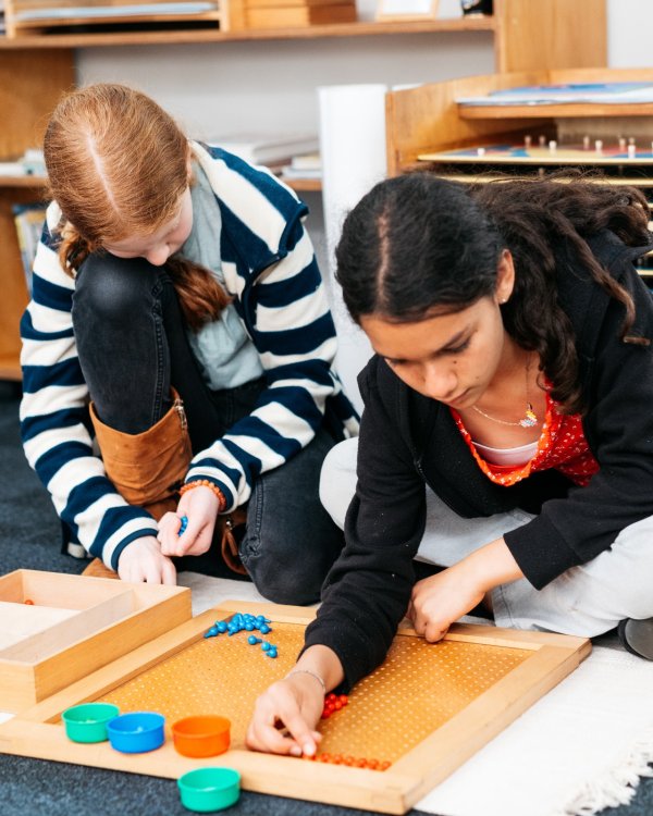 The Montessori Advantage