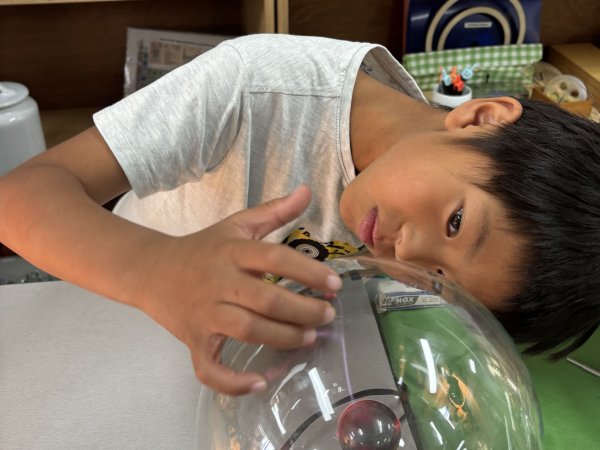 IMG_4285600x450 Image