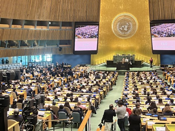 IMG_4430600x450 Image