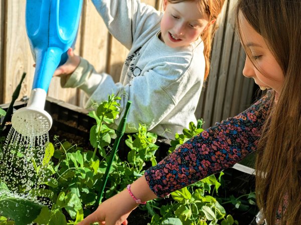 PXL_20250619_044050767~2 600x450 Image